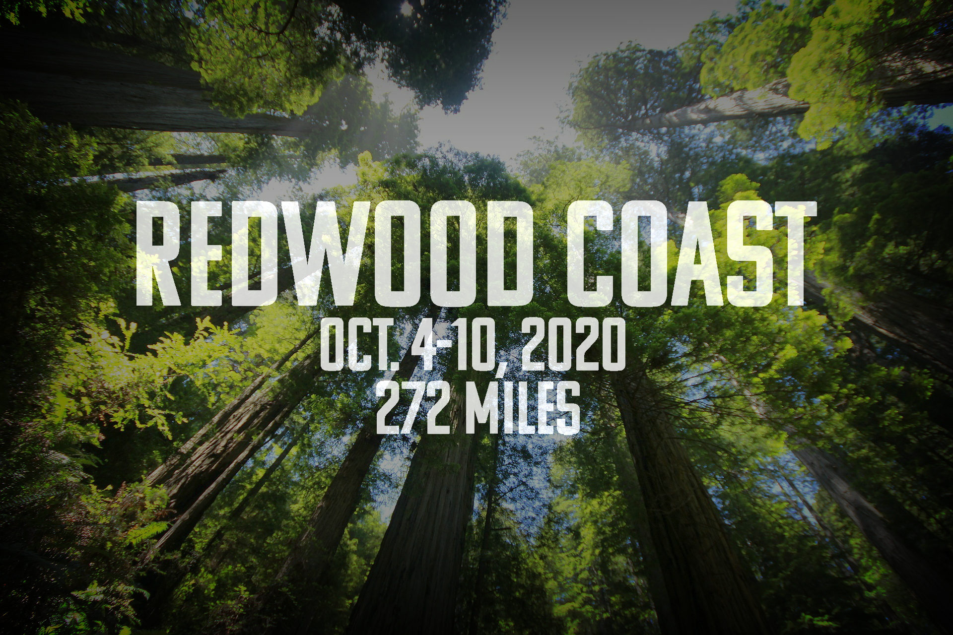 Redwood Coast 2020